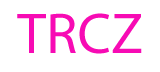 The RealmSolutions Corp logo